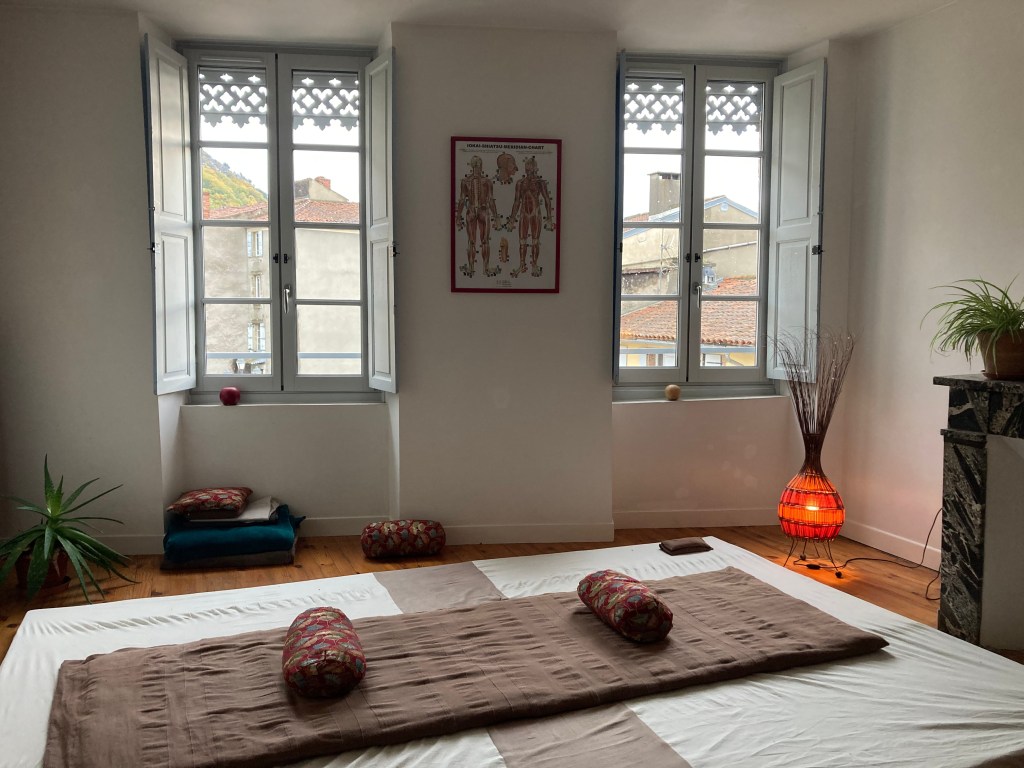 Intérieur d'un cabinet de thérapie, avec des fenêtres ouvertes, un tapis au sol, des coussins colorés, une décoration chaleureuse et une plante.
